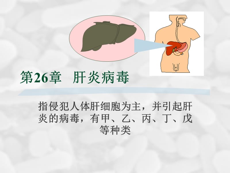 医学课件第26章肝炎病毒.ppt_第1页