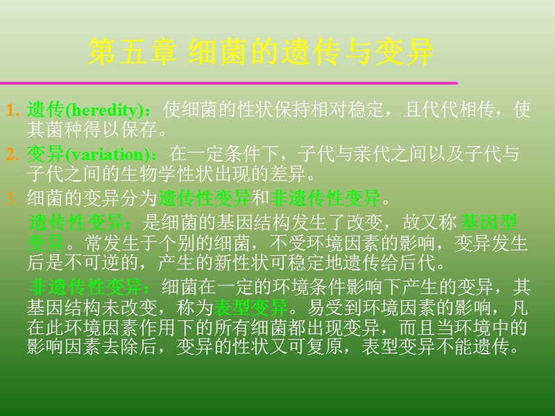 医学课件第五章细菌的遗传与变异.ppt_第1页