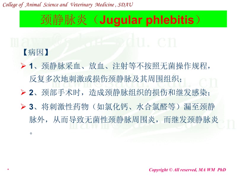 医学课件第七讲颈部疾病.ppt_第2页