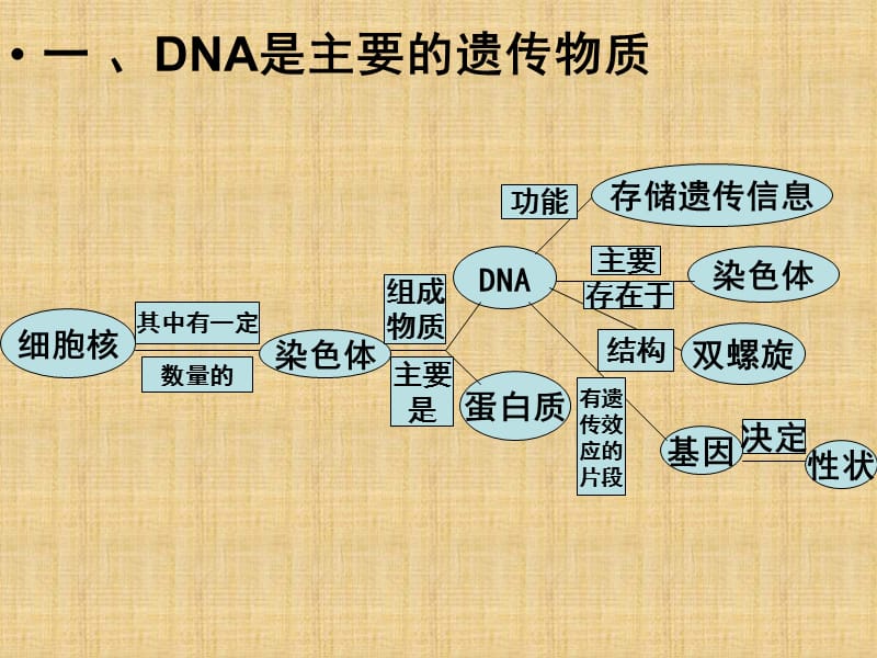 医学课件第15章生物的遗传和变异.ppt_第2页