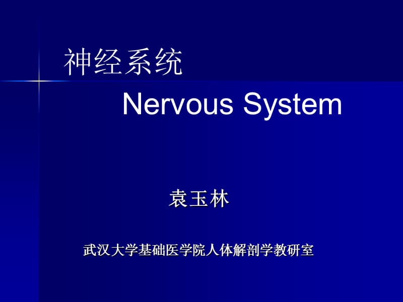 医学课件神经系统-药学(龚).ppt_第1页