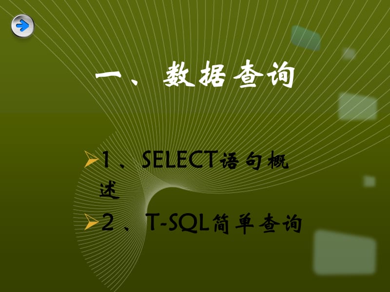 医学课件第二课数据查询之SELECT语句概述.ppt_第2页