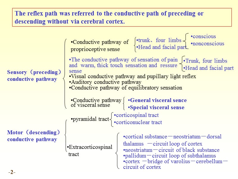 医学课件神经系统传导通路-中国医科大学.ppt_第2页
