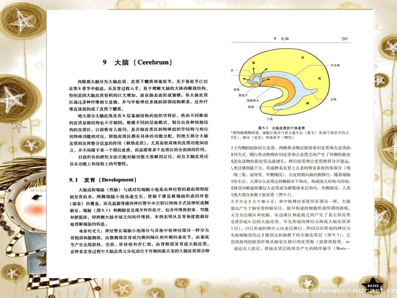 医学课件神经系统疾病定位诊断学090-大脑脑脊液和脑室系统.ppt_第1页