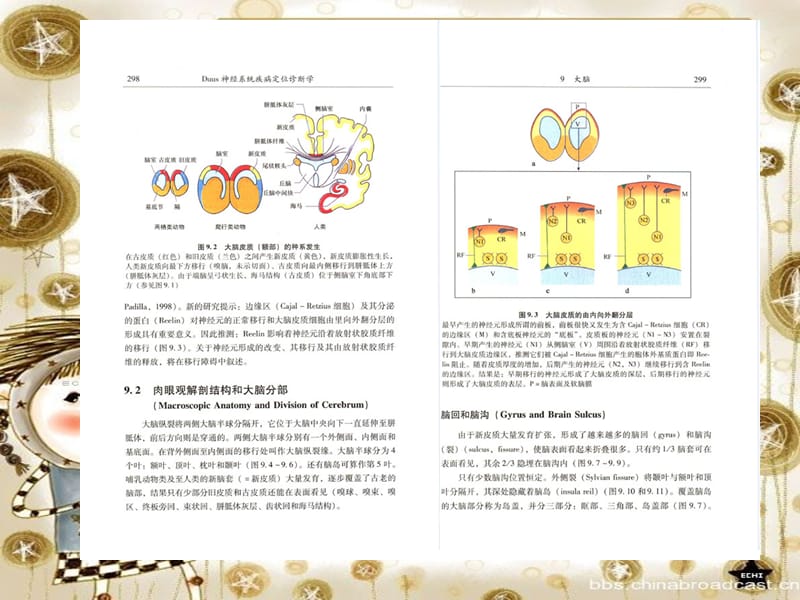 医学课件神经系统疾病定位诊断学090-大脑脑脊液和脑室系统.ppt_第2页