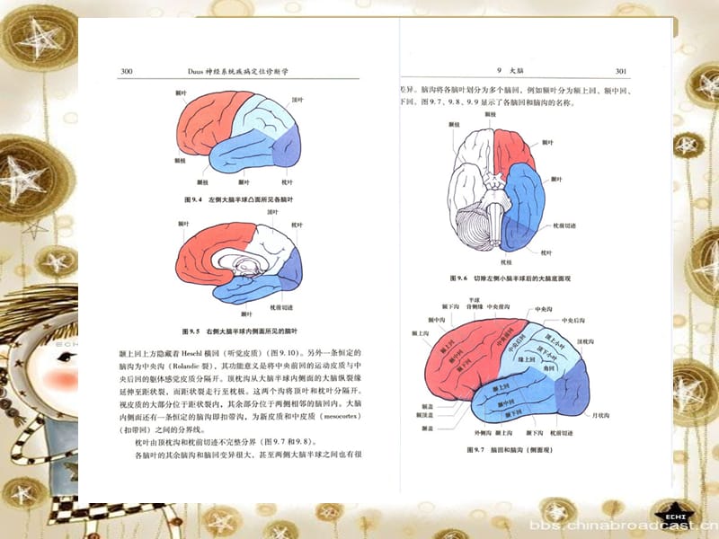 医学课件神经系统疾病定位诊断学090-大脑脑脊液和脑室系统.ppt_第3页