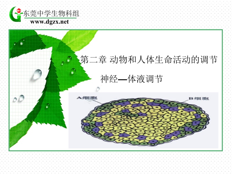 医学课件第二部分动物和人体生命活动的调部分.ppt_第1页