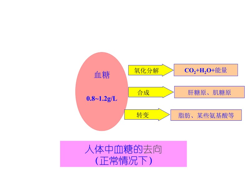 医学课件第二部分动物和人体生命活动的调部分.ppt_第3页