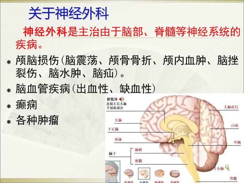 医学课件神经外科常见药物.ppt_第2页