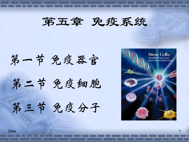 医学课件第五章免疫系统.ppt_第1页