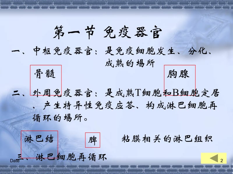 医学课件第五章免疫系统.ppt_第2页