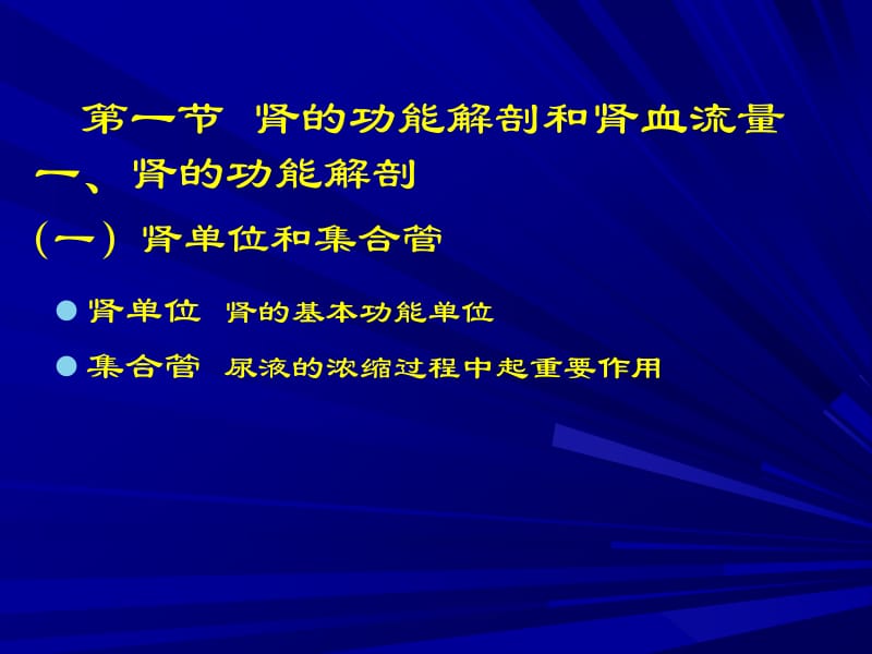 医学课件第八章尿的生成和排出.ppt_第2页