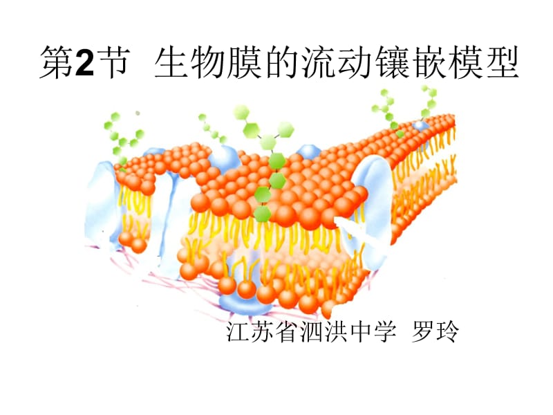 医学课件第2部分生物膜的流动镶嵌模型.ppt_第1页