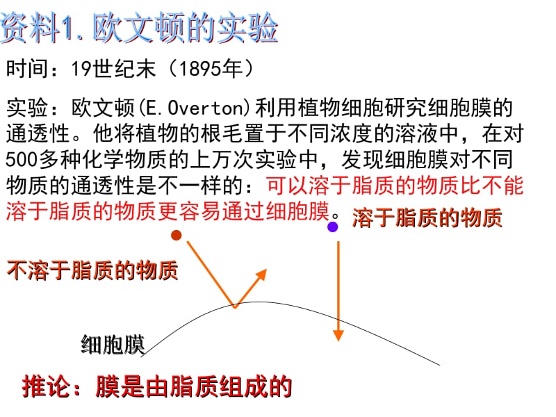 医学课件第2部分生物膜的流动镶嵌模型.ppt_第3页