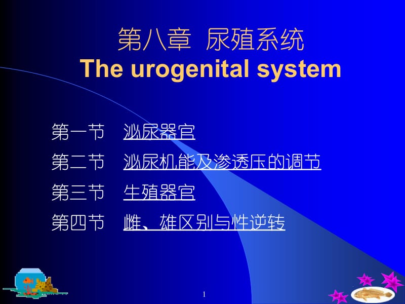 医学课件第八章尿殖系统Theurogenitalsystem.ppt_第1页