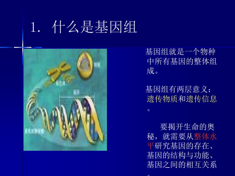 医学课件第一讲基因组测序与序列组装.ppt_第3页