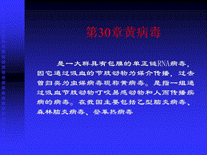 医学课件第30章黄病毒.ppt