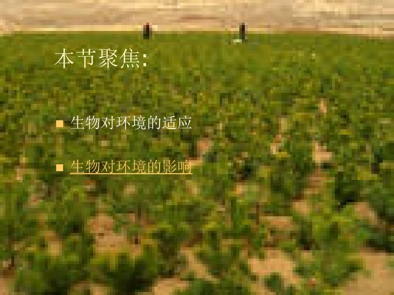 医学课件第三节生物对环境的适应和影响.ppt_第2页