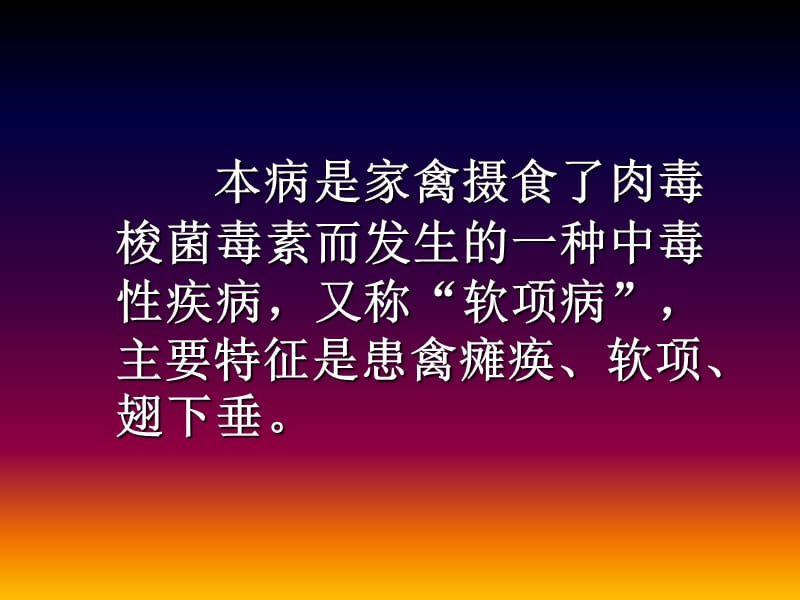 医学课件禽病学禽病临床诊断彩色图谱肉毒梭菌中毒病西南民族大学.ppt_第2页