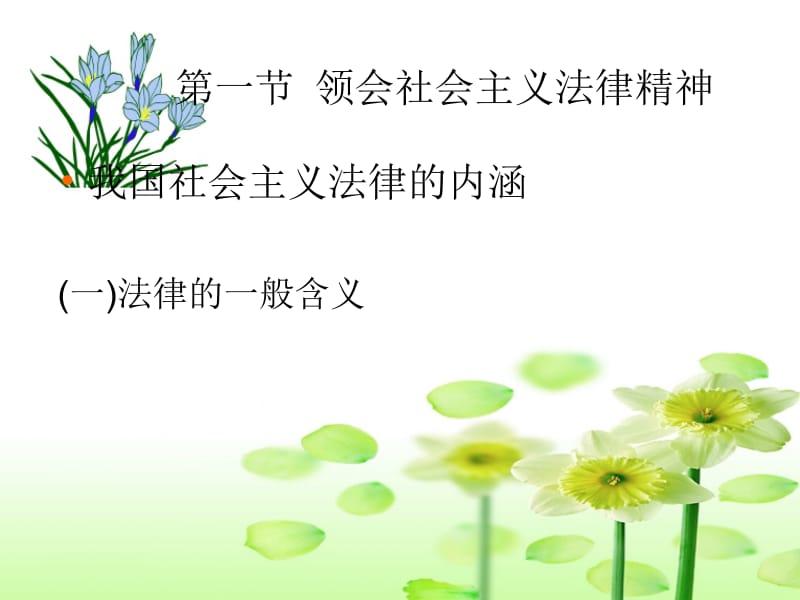 医学课件第七章增强法律意识培养法治精神.ppt_第2页