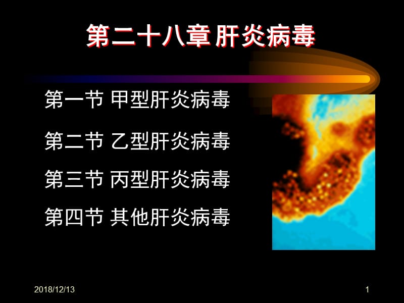 医学课件第二十八章肝炎病毒.ppt_第1页