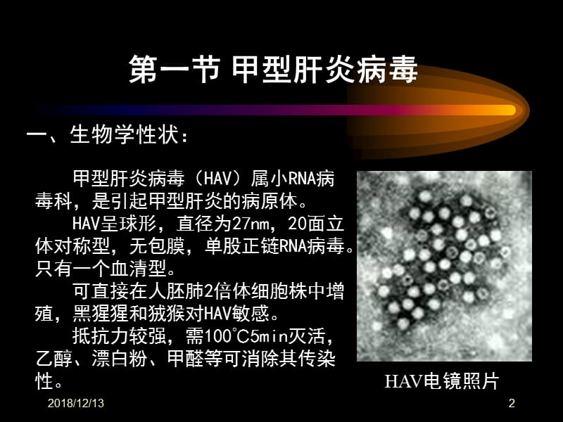 医学课件第二十八章肝炎病毒.ppt_第2页