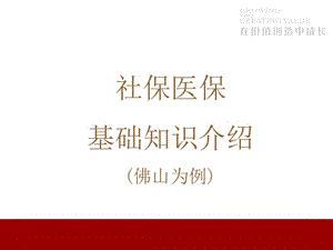 医学课件社保,医保基本知识介绍.ppt