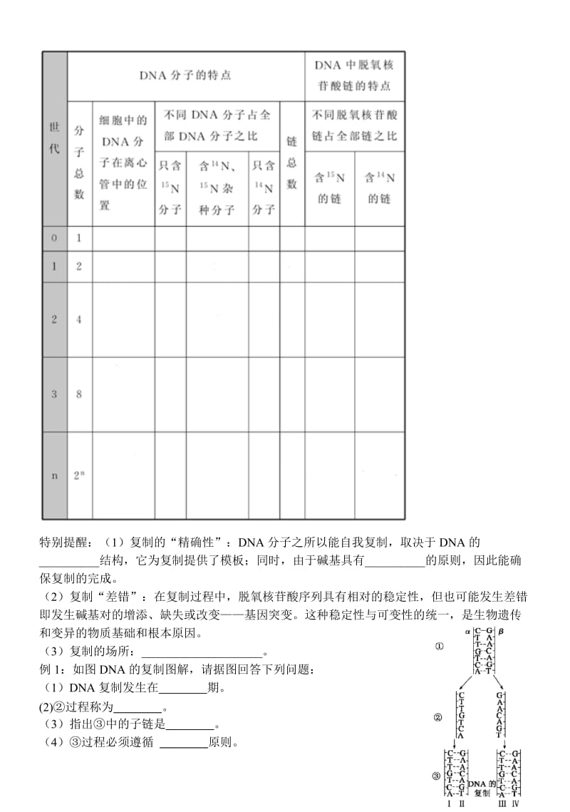 最新3.3《DNA的复制》试题1汇编.doc_第2页