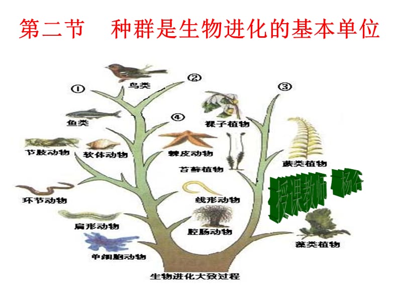 医学课件种群生物进化的基本单位.ppt_第2页