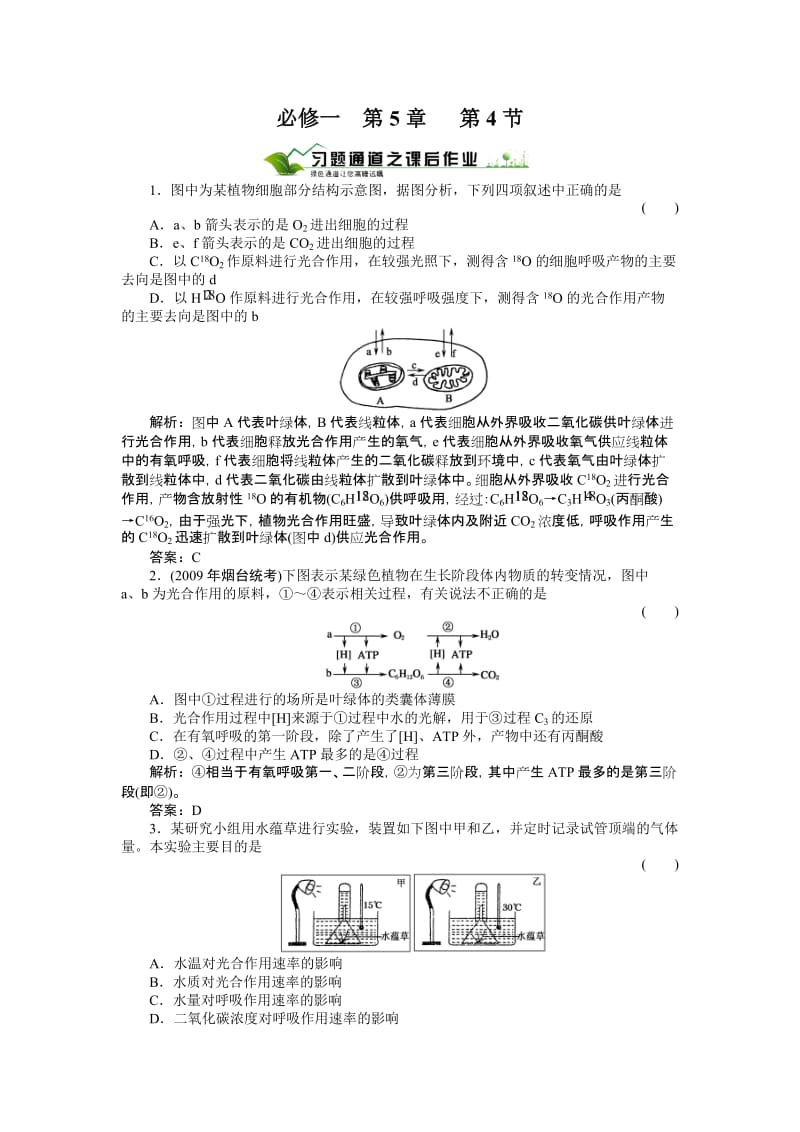 最新5.4《能量之源──光与光合作用》习题1汇编.doc_第1页