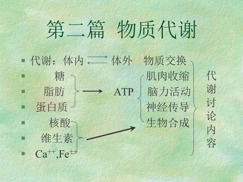 医学课件第二篇物质代谢.ppt_第2页