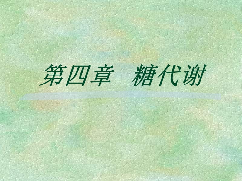 医学课件第二篇物质代谢.ppt_第3页