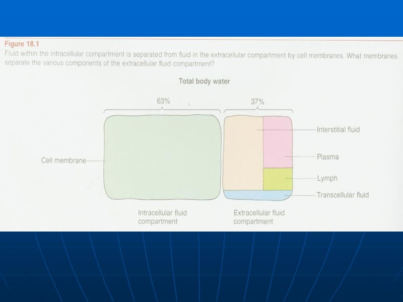 医学课件第五部分血液生理.ppt_第3页