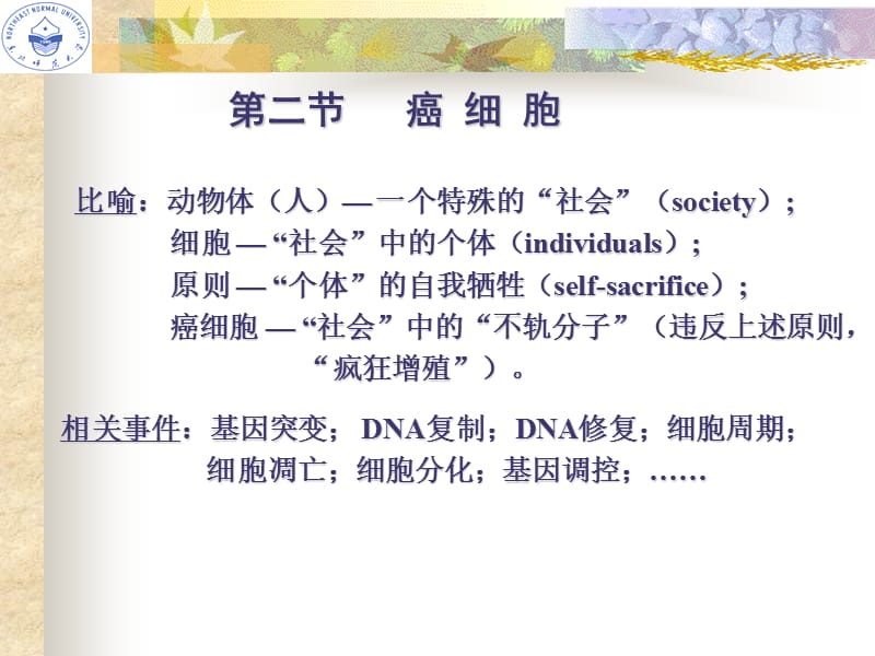 医学课件第二节癌细胞.ppt_第1页