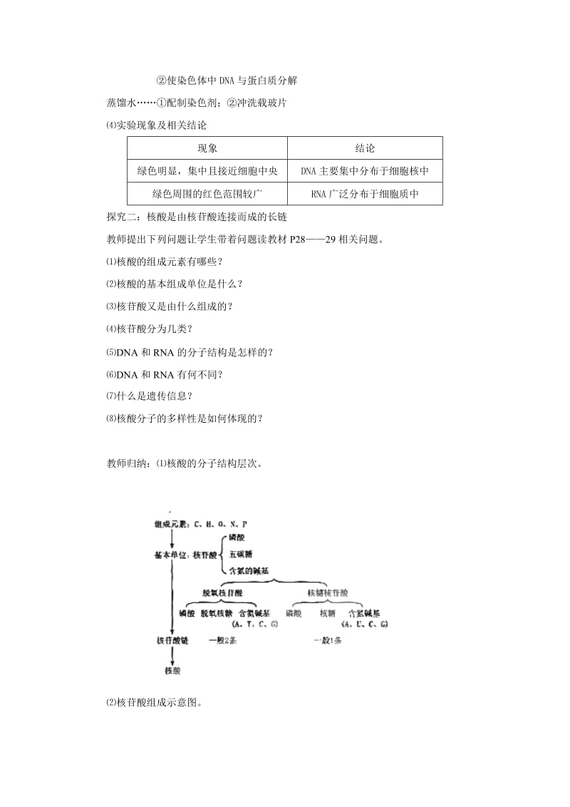 最新2.3遗传信息的携带者----核酸教案汇编.doc_第3页