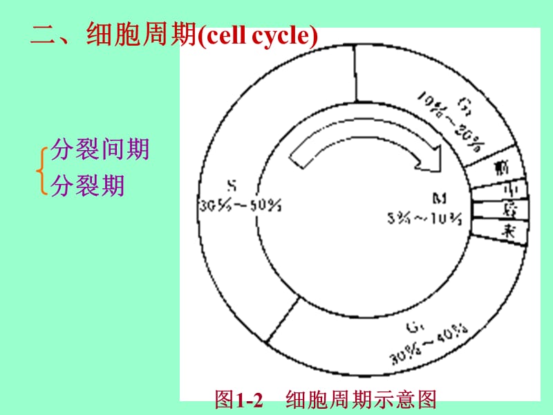 医学课件第一动物体的基本结构与机能.ppt_第2页