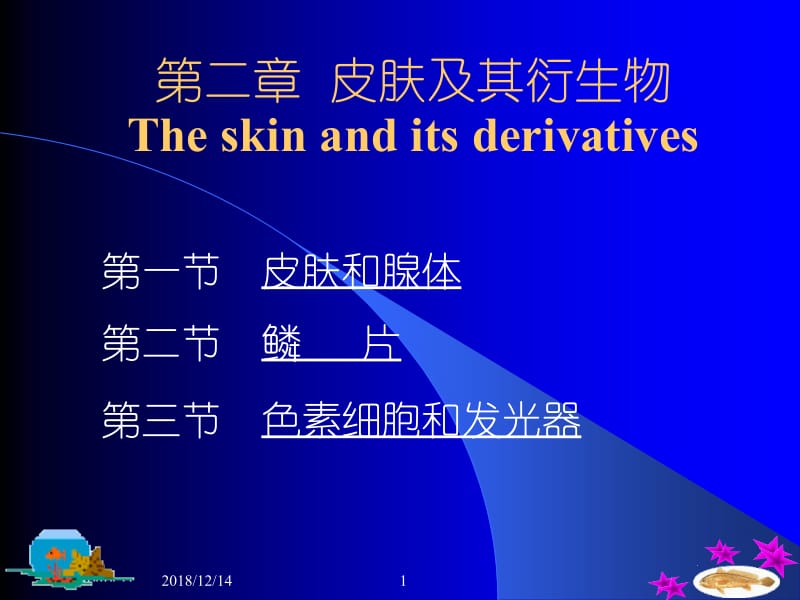 医学课件第二章皮肤及其衍生物Theskinanditsderivatives.ppt_第1页