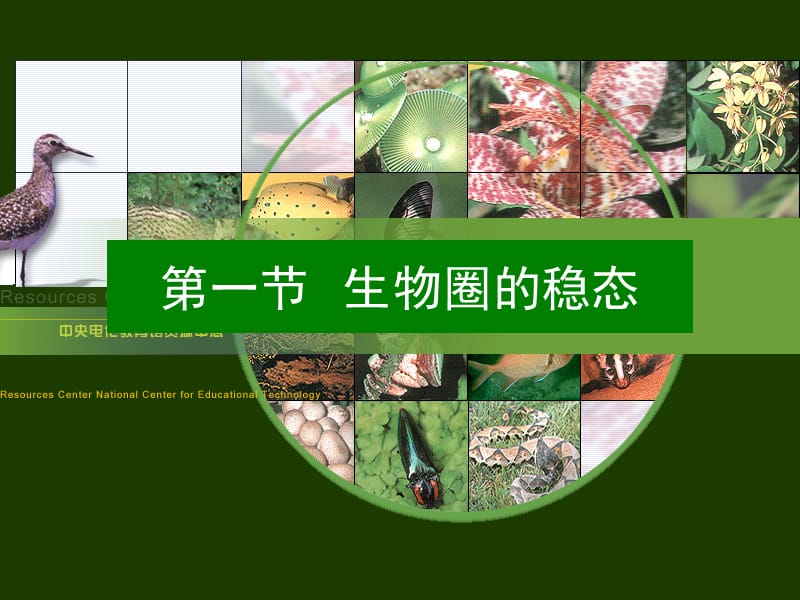 医学课件第一节生物圈的稳态.ppt_第1页