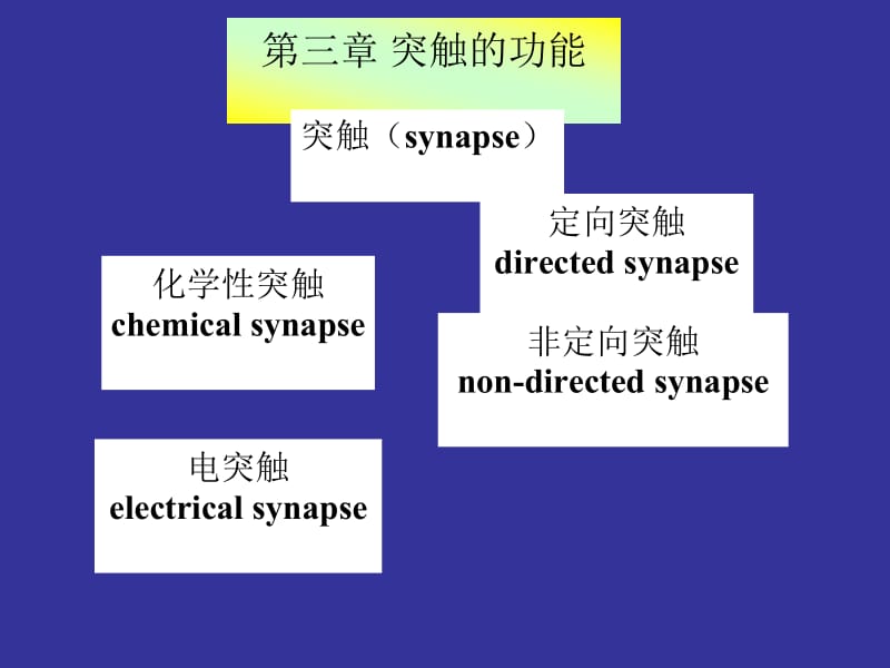 医学课件神经生物学 3突触的功能.ppt_第1页