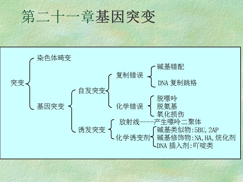 医学课件第二十一章基因突变.ppt_第1页