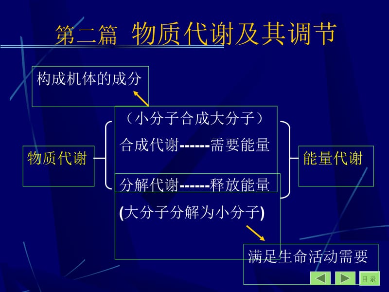 医学课件第二篇物质代谢及其调部分.ppt_第1页