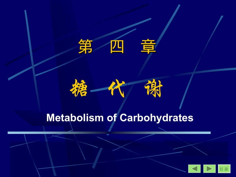 医学课件第二篇物质代谢及其调部分.ppt_第3页