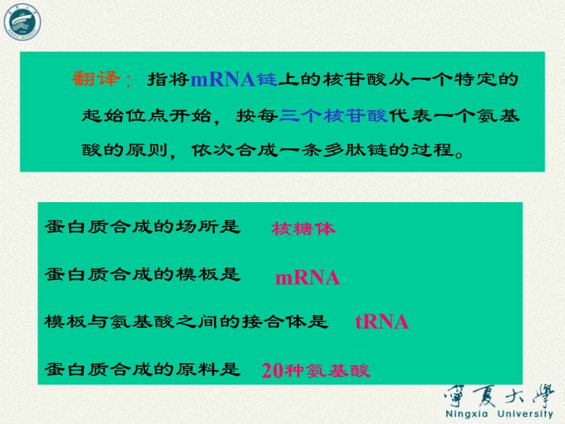 医学课件第五章基因表达2蛋白质翻译.ppt_第2页