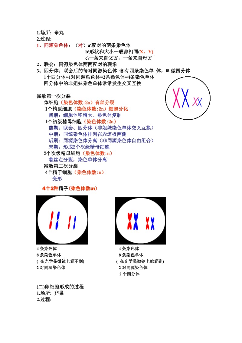 最新2.1《减数分裂和受精作用》教案2汇编.doc_第2页