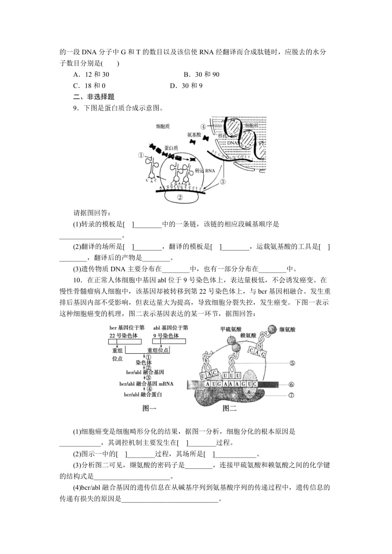 最新4.1《基因指导蛋白质的合成》试题及答案汇编.doc_第3页