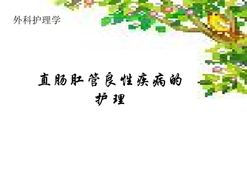 医学课件直肠肛管良性疾病的护理.ppt_第1页