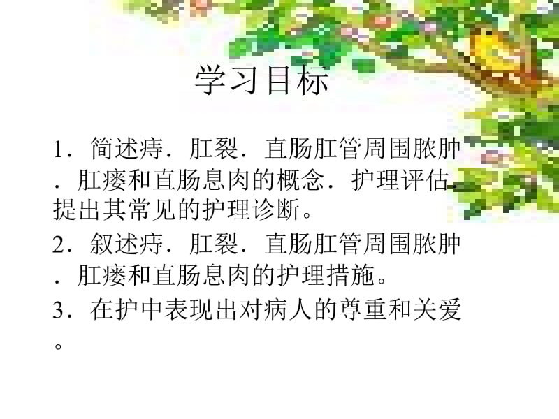 医学课件直肠肛管良性疾病的护理.ppt_第2页