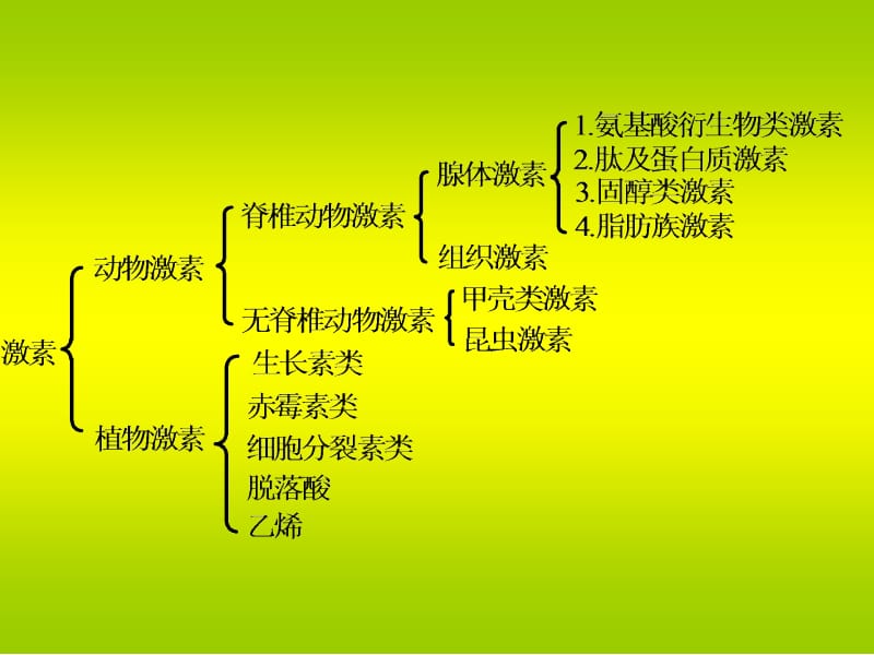 医学课件第七章激素.ppt_第3页