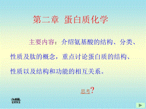 医学课件第二部分蛋白质化学.ppt