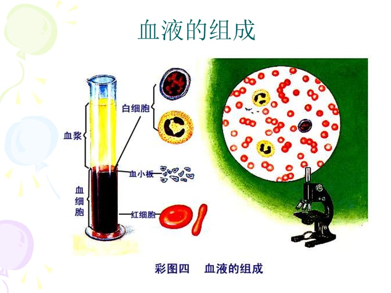 医学课件第一节流动的组织血液.ppt_第3页